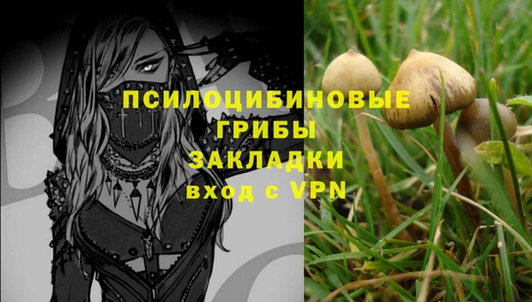 стафф Армянск
