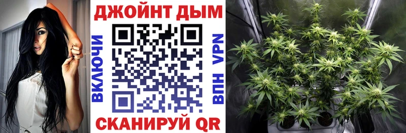 Марихуана план Владимир